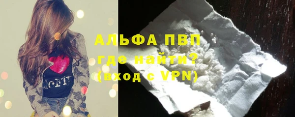 индика Осташков