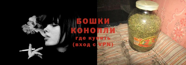 индика Осташков