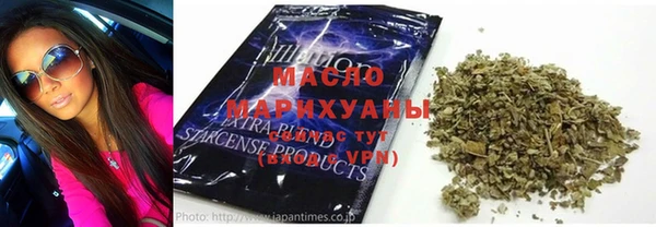 индика Осташков