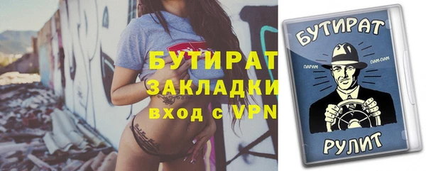 индика Осташков