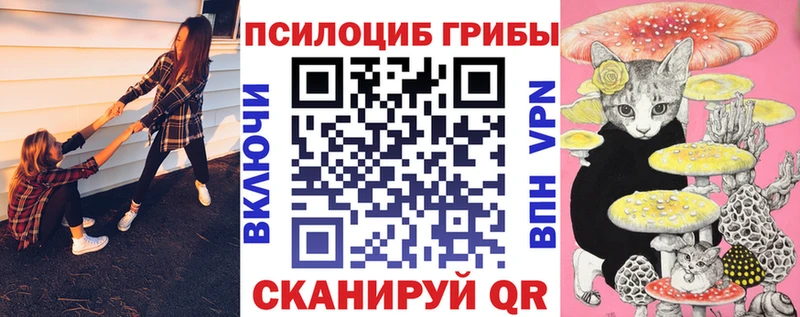 Псилоцибиновые грибы GOLDEN TEACHER  Купить закладки  Балашиха 